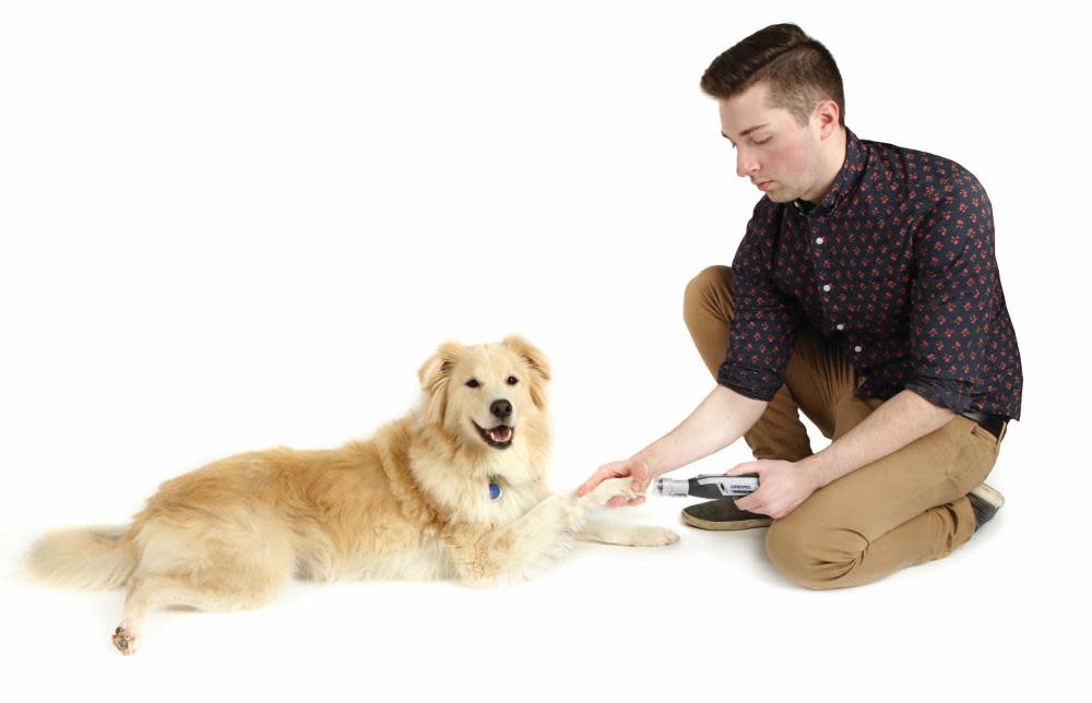 Dremel Pet Nail Grooming Kit 4 Volt Cordless - Ascmtools