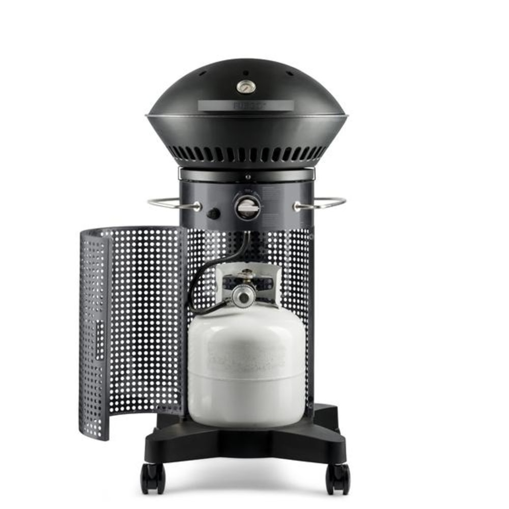 Fuego 21″ Element 2 Burner Propane Gas Grill - Ascmtools