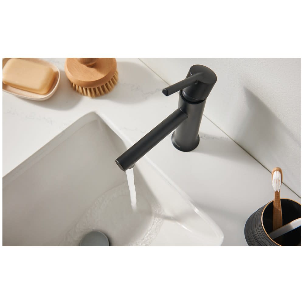 Moen Arlys Bathroom Faucet Black 1 Handle Low Arc Low Profile - Ascmtools