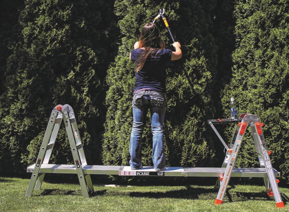 Little Giant Safety Trestle Brackets - Ascmtools