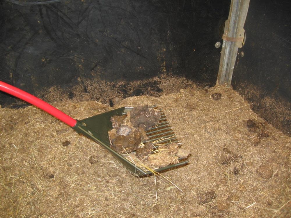 Root Assassin Rake-Shovel-Skimmer - Ascmtools