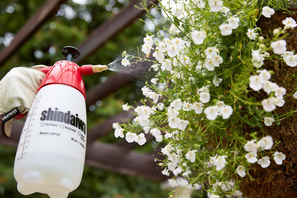 Shindaiwa Handheld Sprayer 48 Fluid Ounce 45 PSI Piston Style - Ascmtools