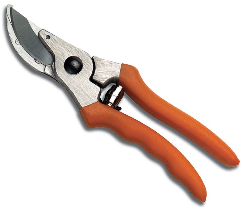 Stihl PP 10 Hand Pruner - Ascmtools