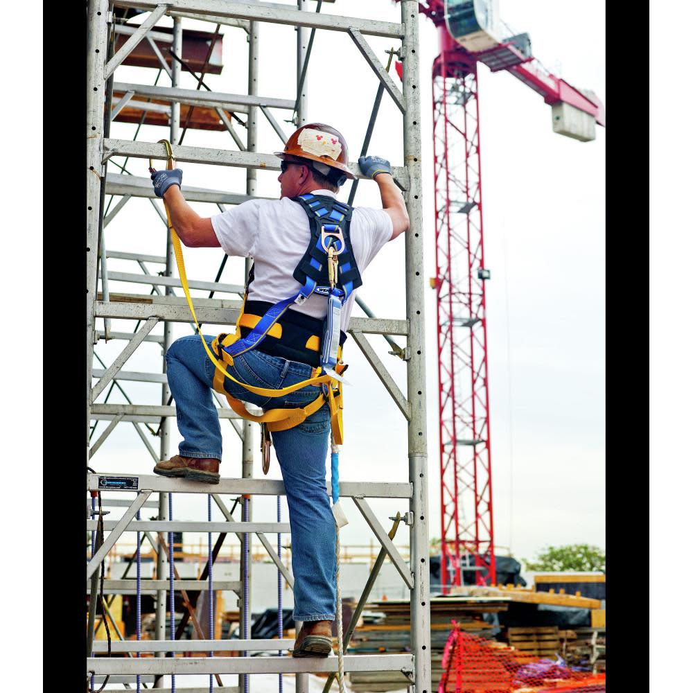 Werner 6ft DeCoil Twinleg Lanyard () - Ascmtools