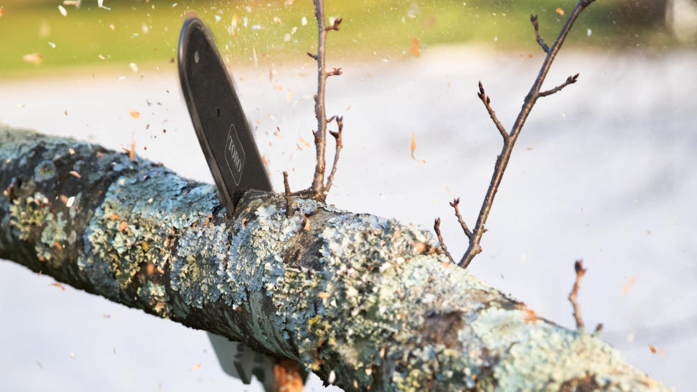 Toro 60V Max Flex-Force Pole Saw Attachment 10″ Bar - Ascmtools