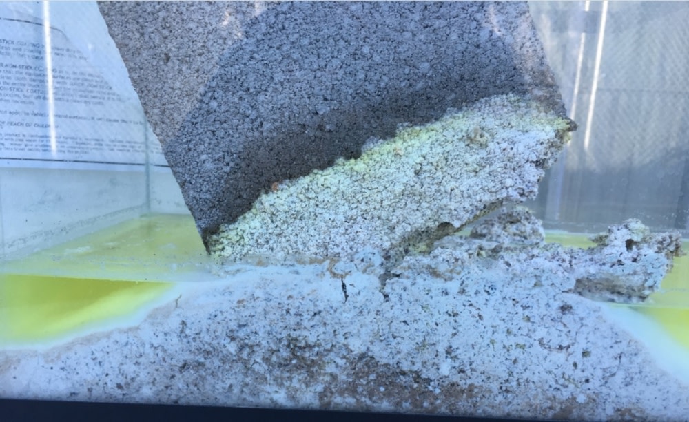 Bullseye Products Super Quick Concrete Dissolver 5 Gallon - Ascmtools