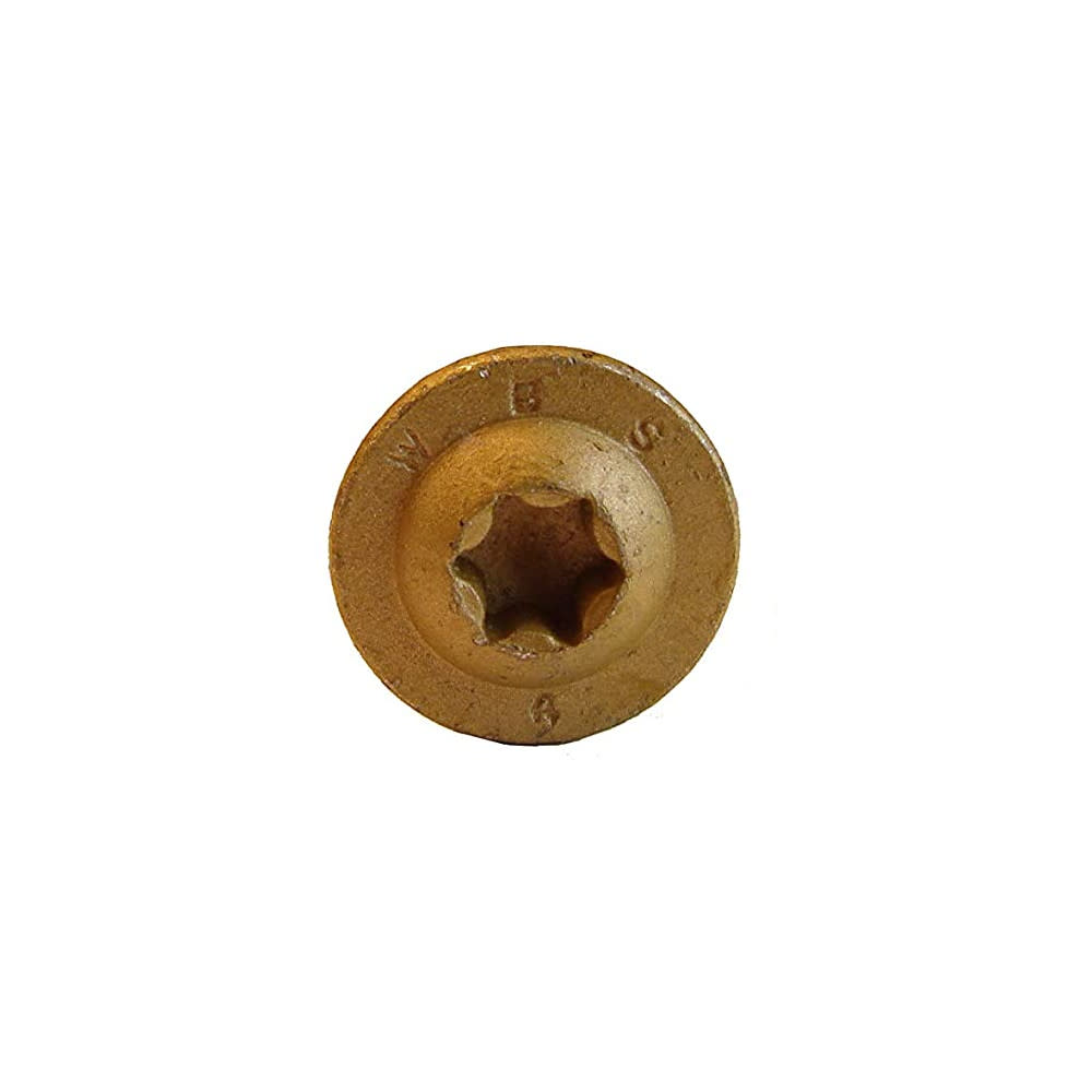Western Builders Supply 2-1/2 In. Bronze Round Washer Head Type 17 Construction Lag Screw - Ascmtools