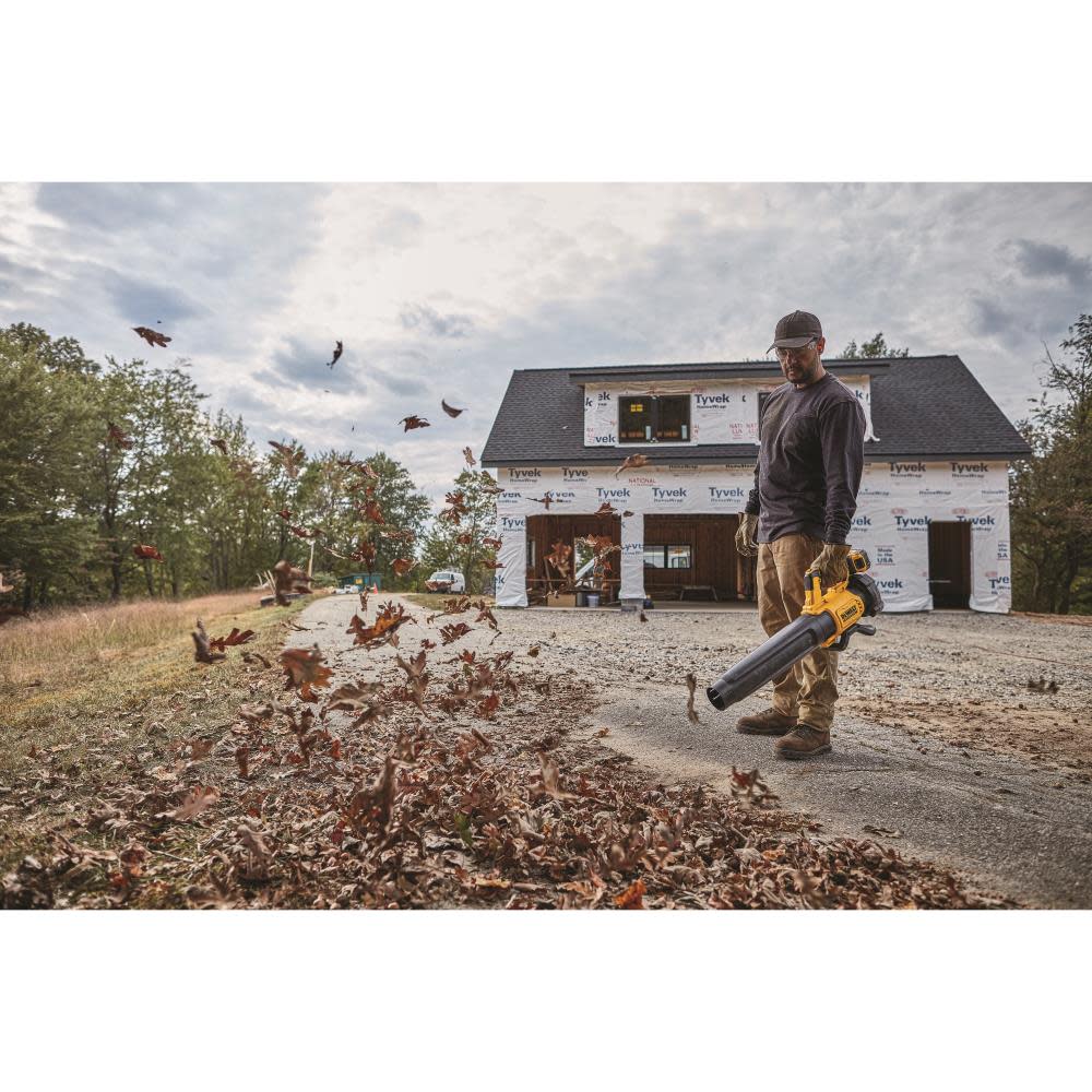DEWALT 20 V MAX* Lithium Ion XR Brushless Handheld Blower (5.0 AH) - Ascmtools