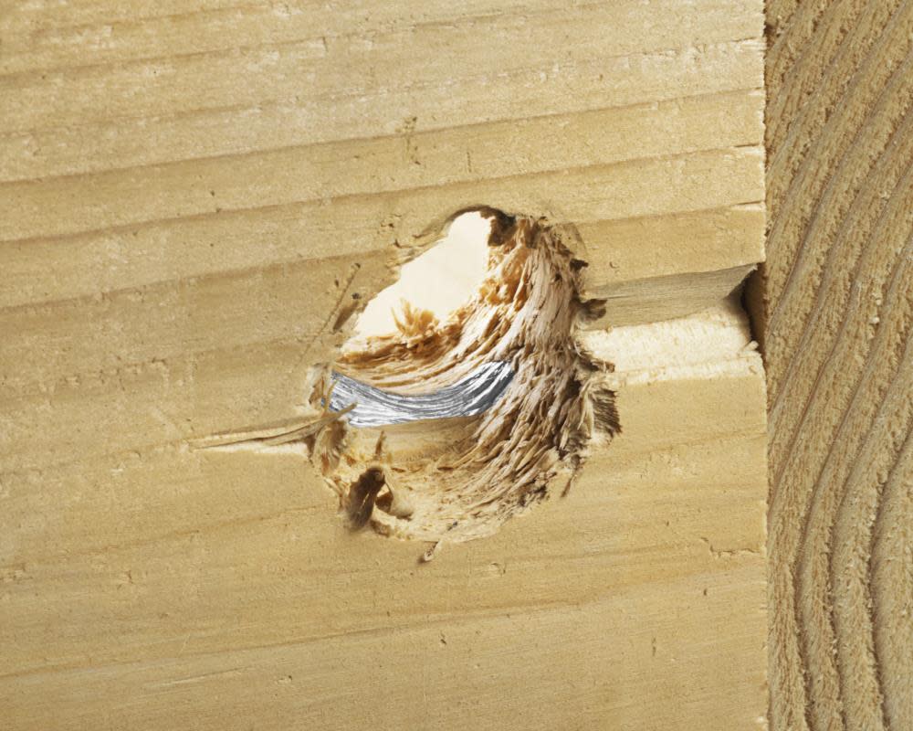 Bosch 6 pc. Nail Strike Wood-Boring Bit Set - Ascmtools