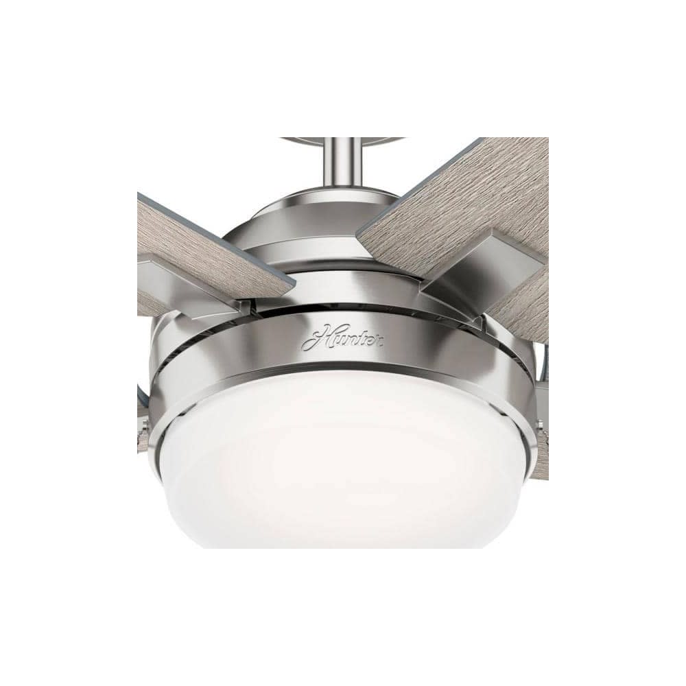 Hunter Fan Barlett Ceiling Fan 52″ Brushed Nickel Light Gray Oak - Ascmtools
