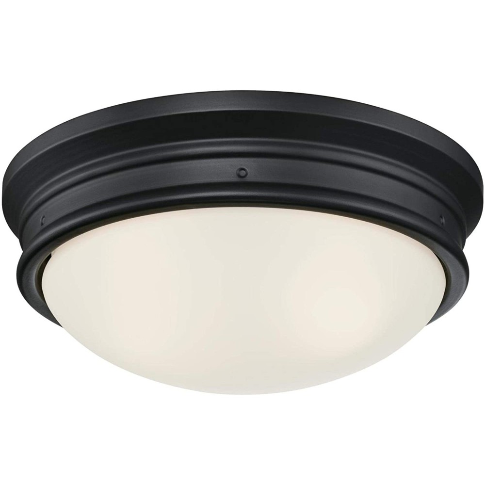 Westinghouse 13″ Black Meadowbrook LED Ceiling Light Fixture - Ascmtools