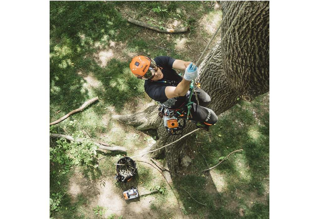 Stihl MS 194 T 3/8 In. Pitch Chain Compact Gas Powered Professional Grade Top-Handle Chainsaw - Ascmtools