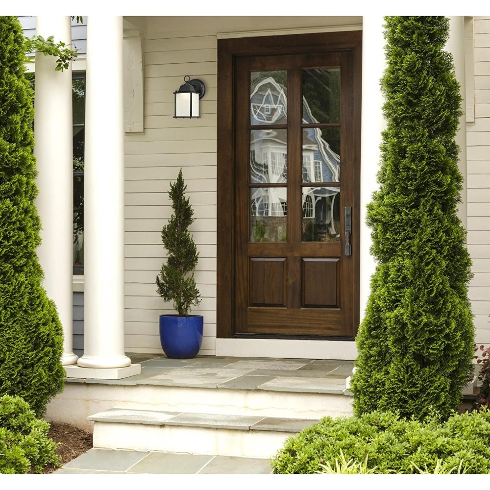 Westinghouse 9W Black One Light LED Outdoor Wall Light Fixture - Ascmtools