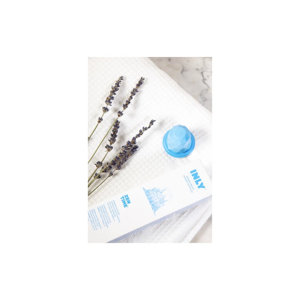 Moen Chrome Aromatherapy Handshower with INLY Shower Capsules - Ascmtools