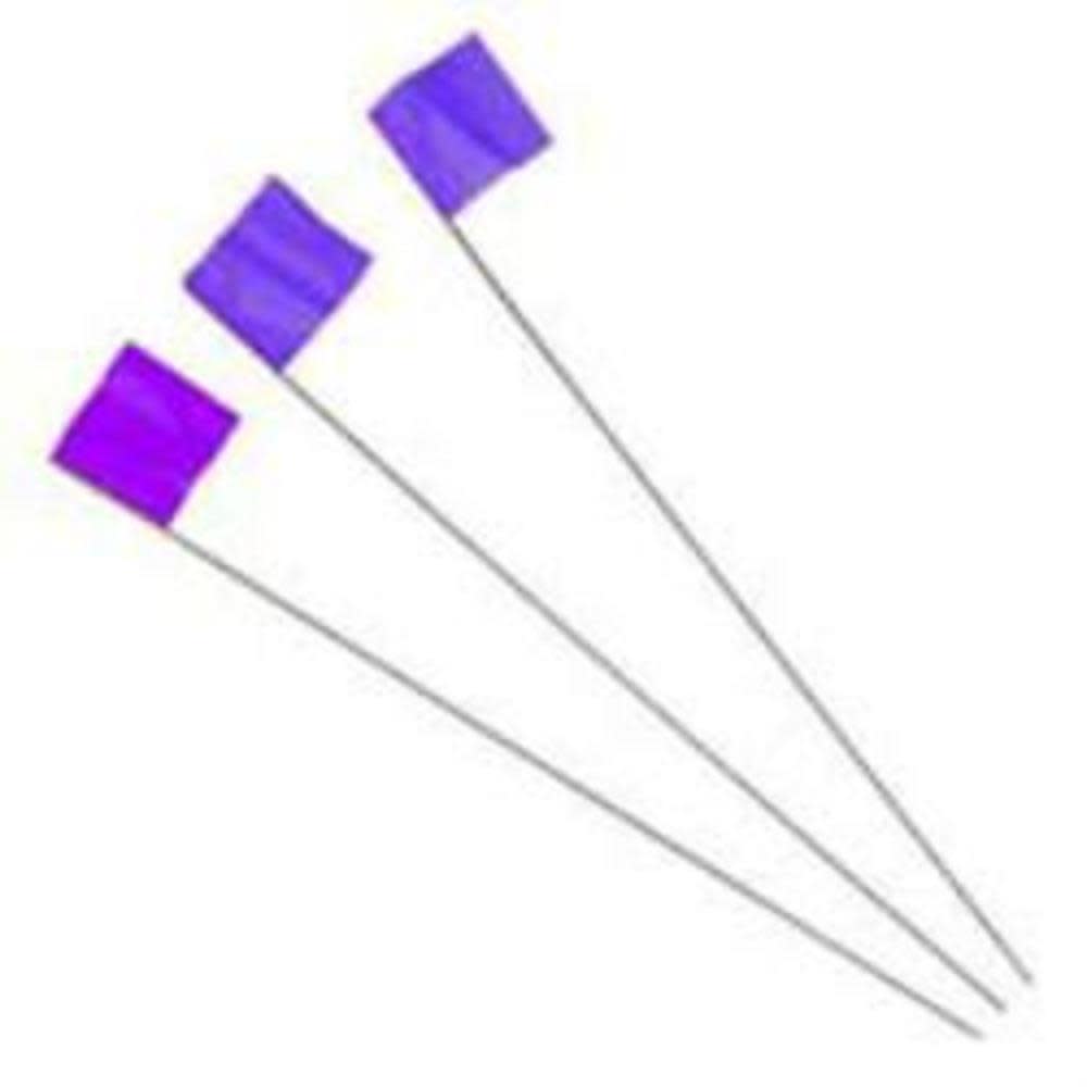 Irwin 2-1/2 In. x 3-1/2 In. x 21 In. Blue Stake Flags 100 Pc. - Ascmtools