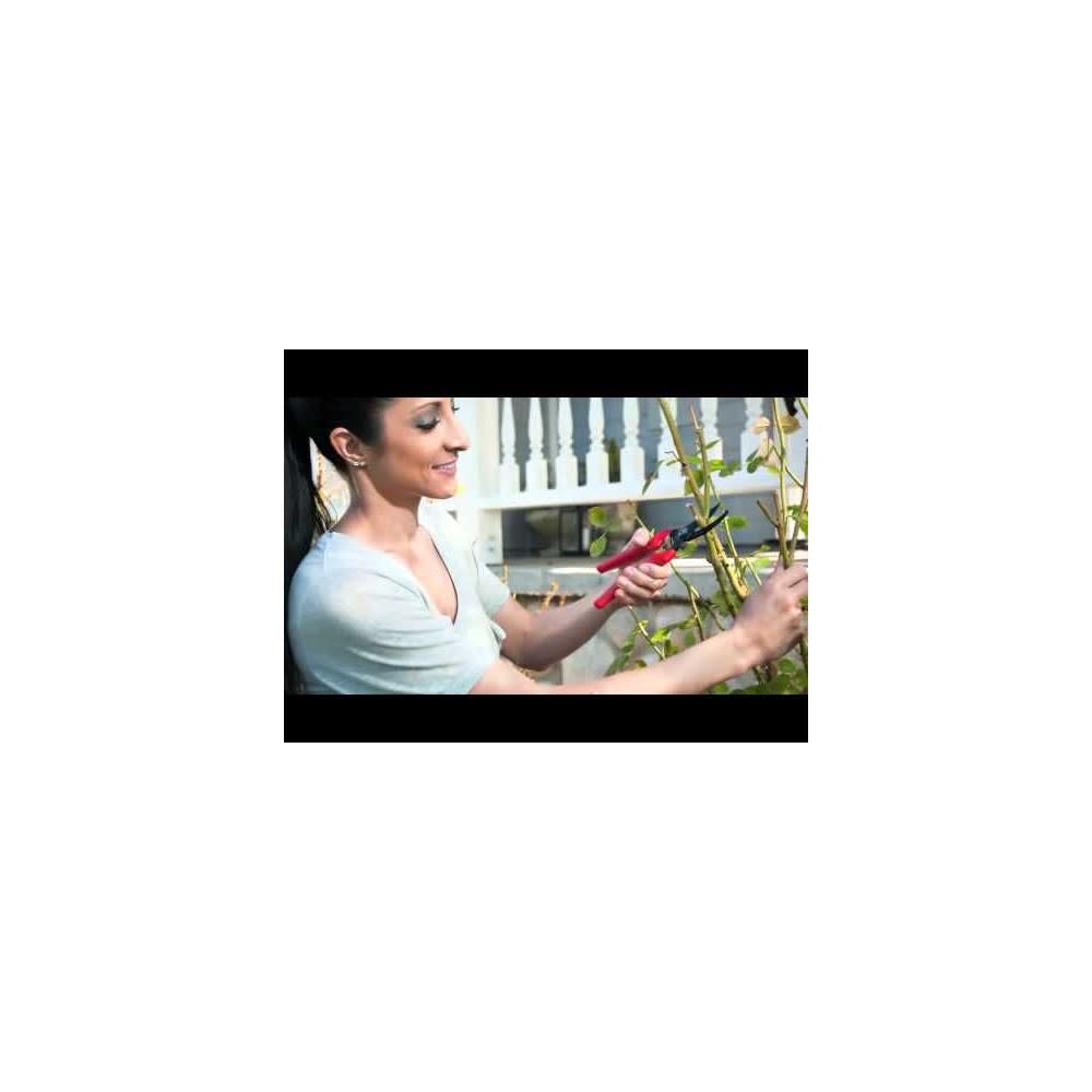 Corona Bypass Pruner 3/4″ ComfortGEL Left/Right Stainless Steel - Ascmtools