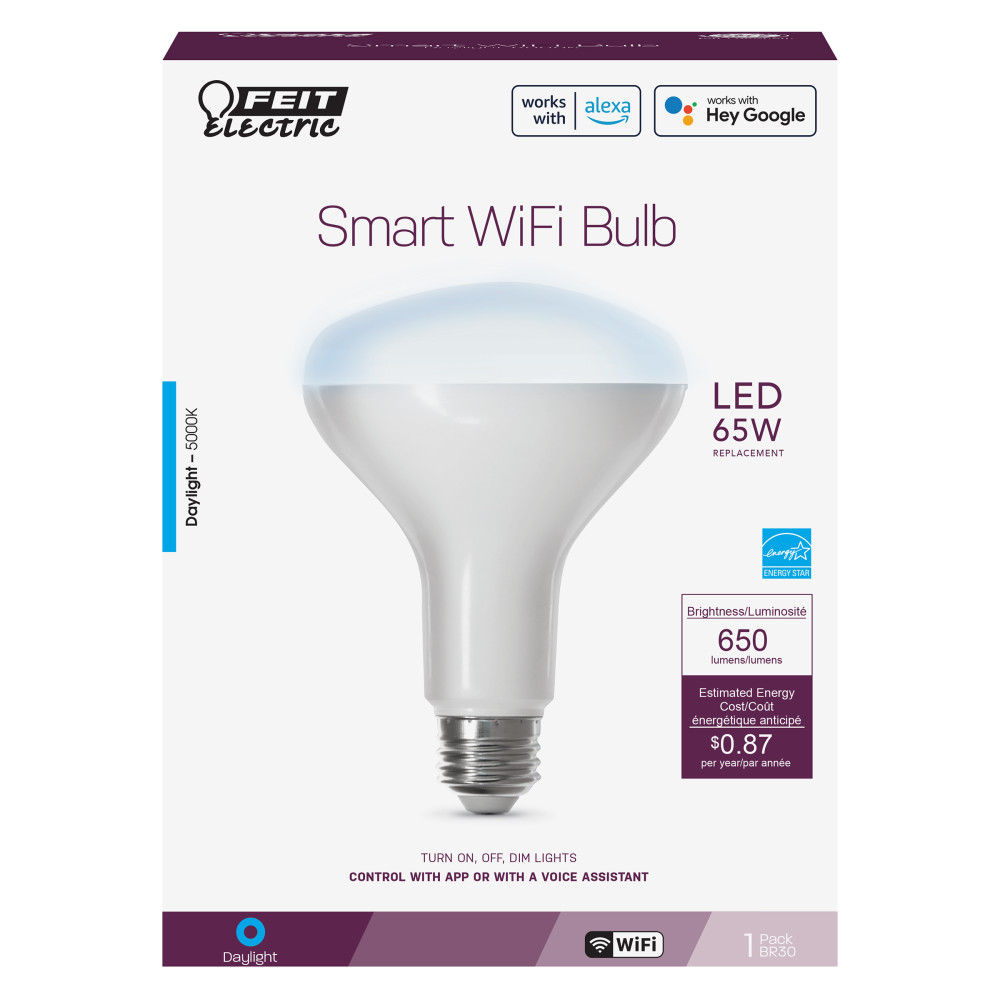 Feit Electric 65W BR30 Daylight Smart WiFi LED Bulb 1pk - Ascmtools