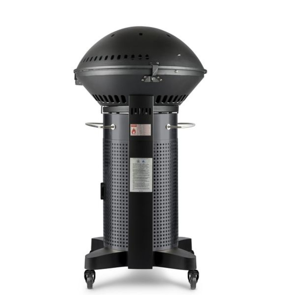 Fuego Professional 24″ 2 Burner Propane Gas Grill - Ascmtools