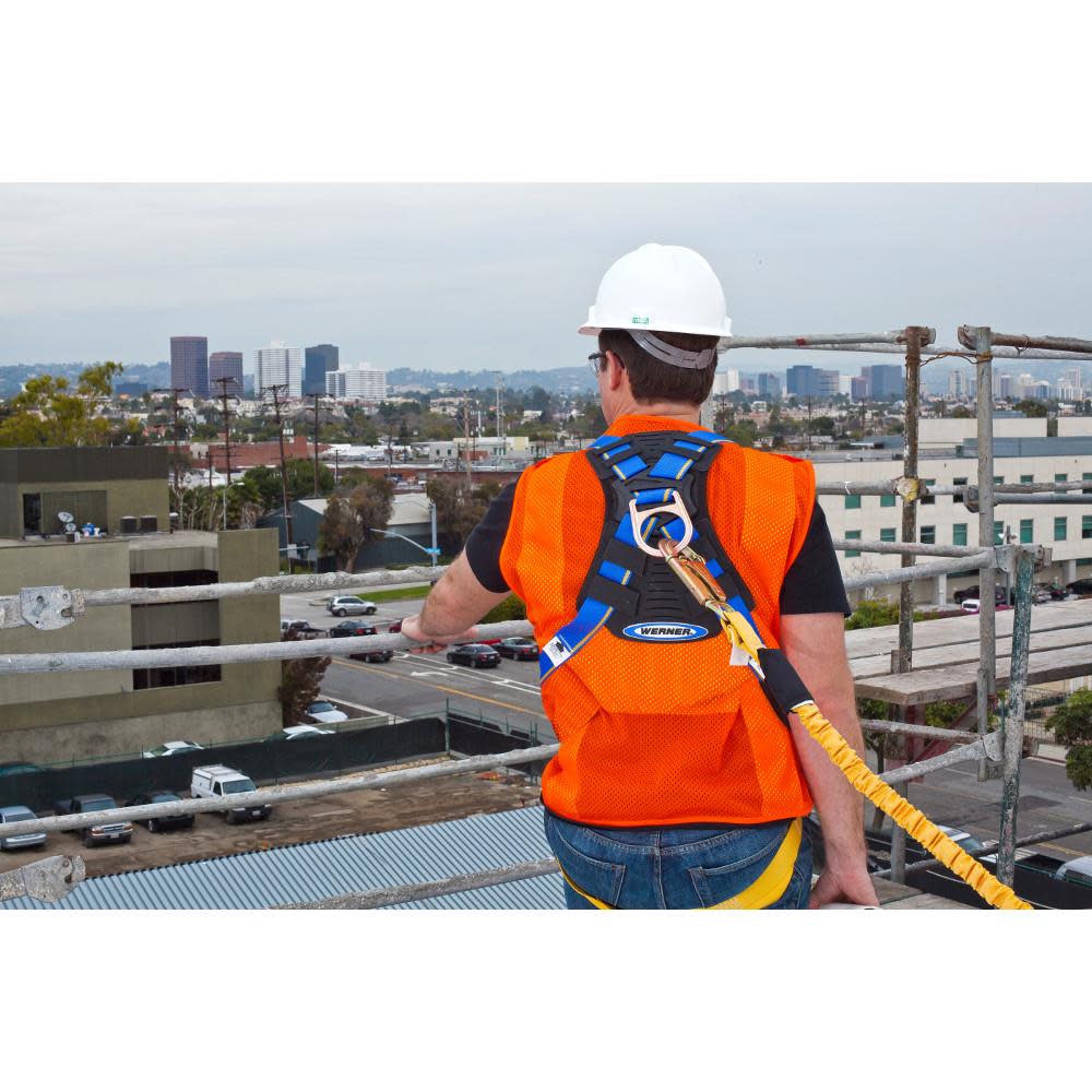 Werner Blue Armor Standard (1 D Ring) Harness (XXL) Fall Protection Equipment - Ascmtools