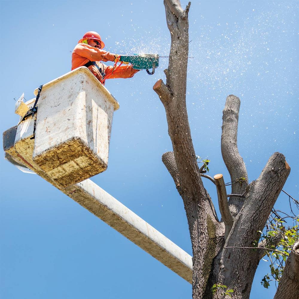 Makita 40V max XGT 18″ Chainsaw 5Ah Kit - Ascmtools