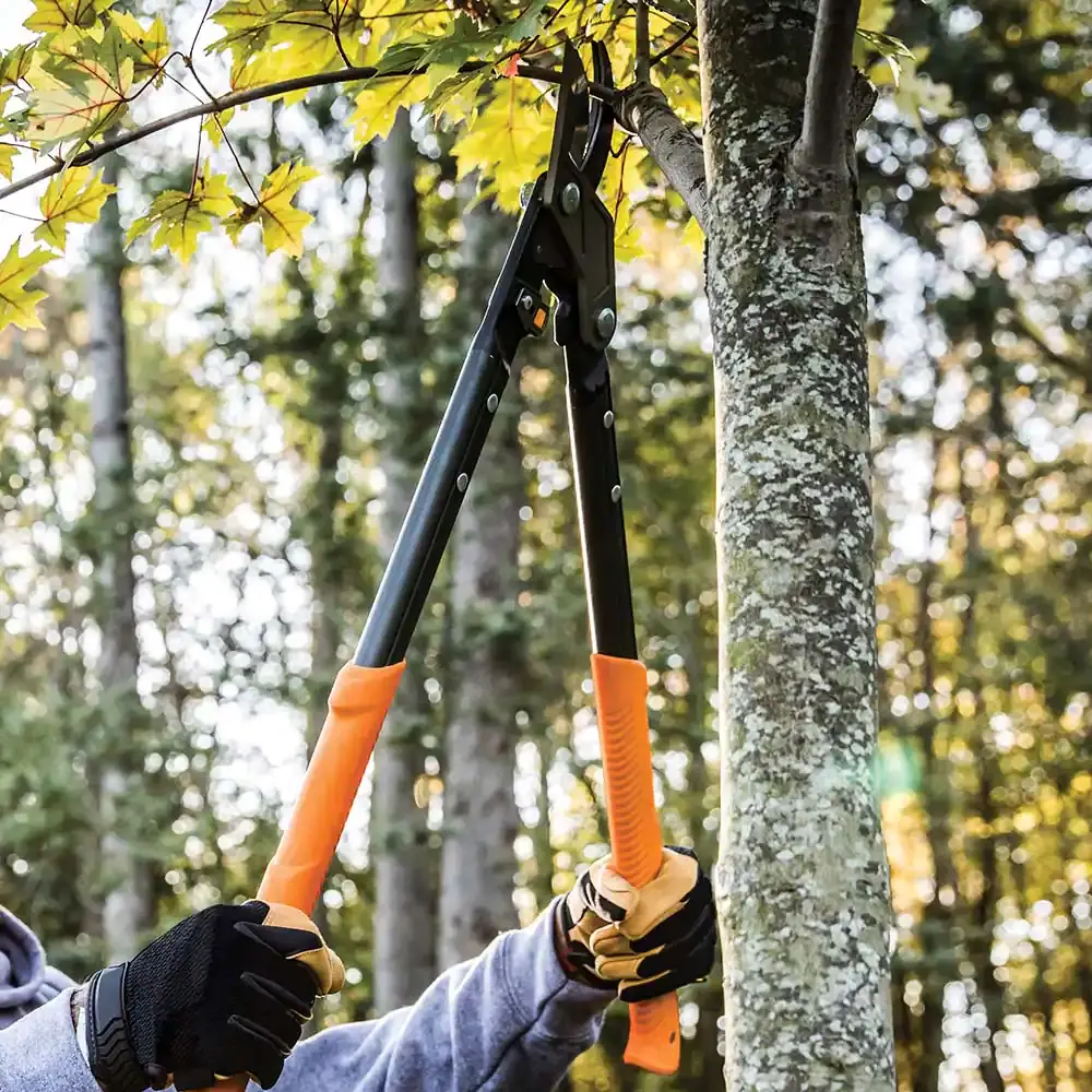 Fiskars Pro Carbon Steel Blade Bypass Lopper with Aluminum Handle - Ascmtools