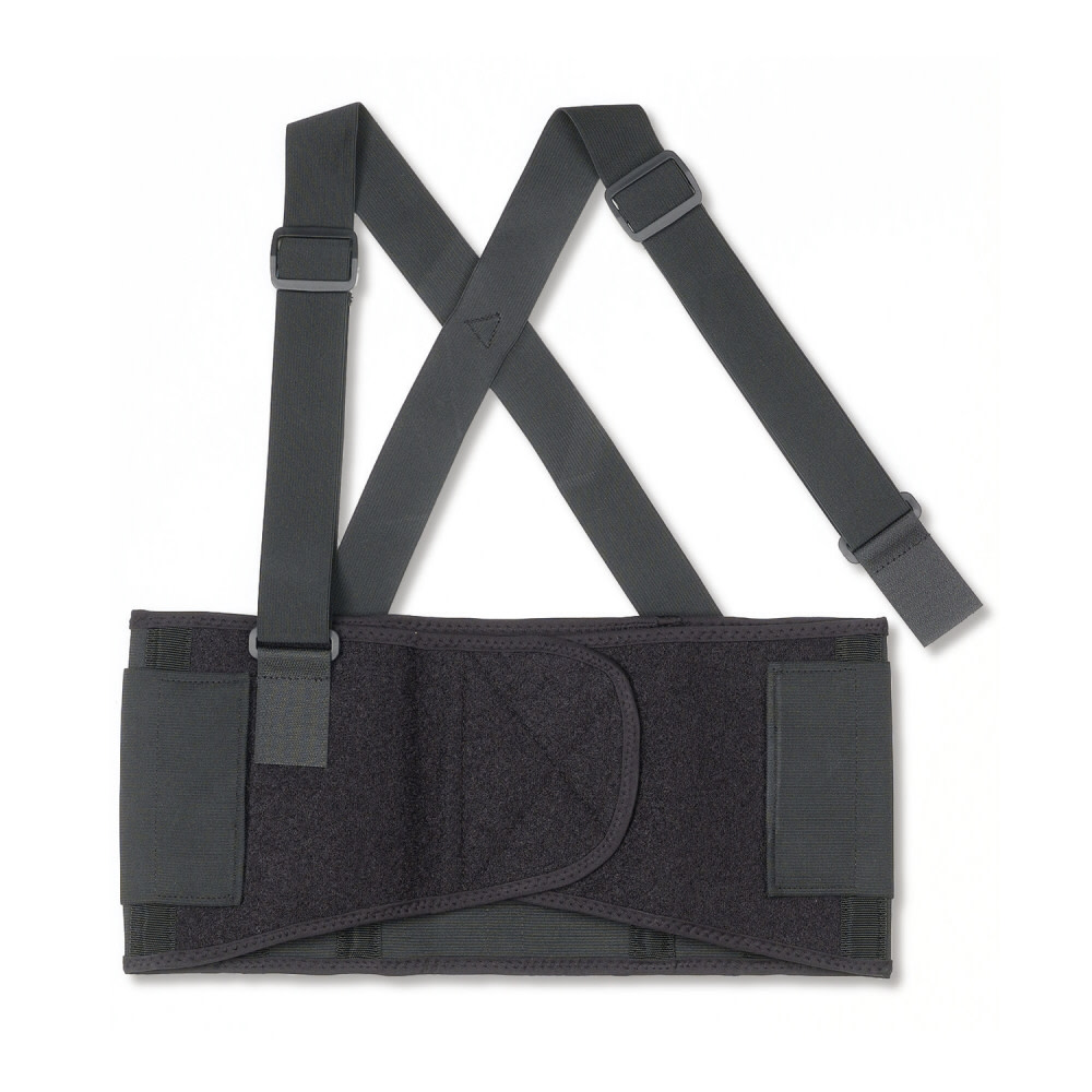 Ergodyne Proflex 1650 Back Support – XL - Ascmtools