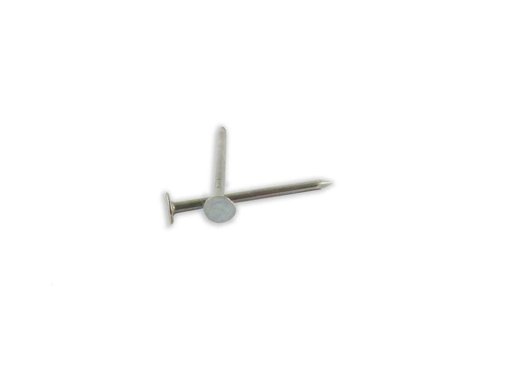 B and C Eagle WoodPro Bulk EG Roofing Nails 3 In. 50LB - Ascmtools