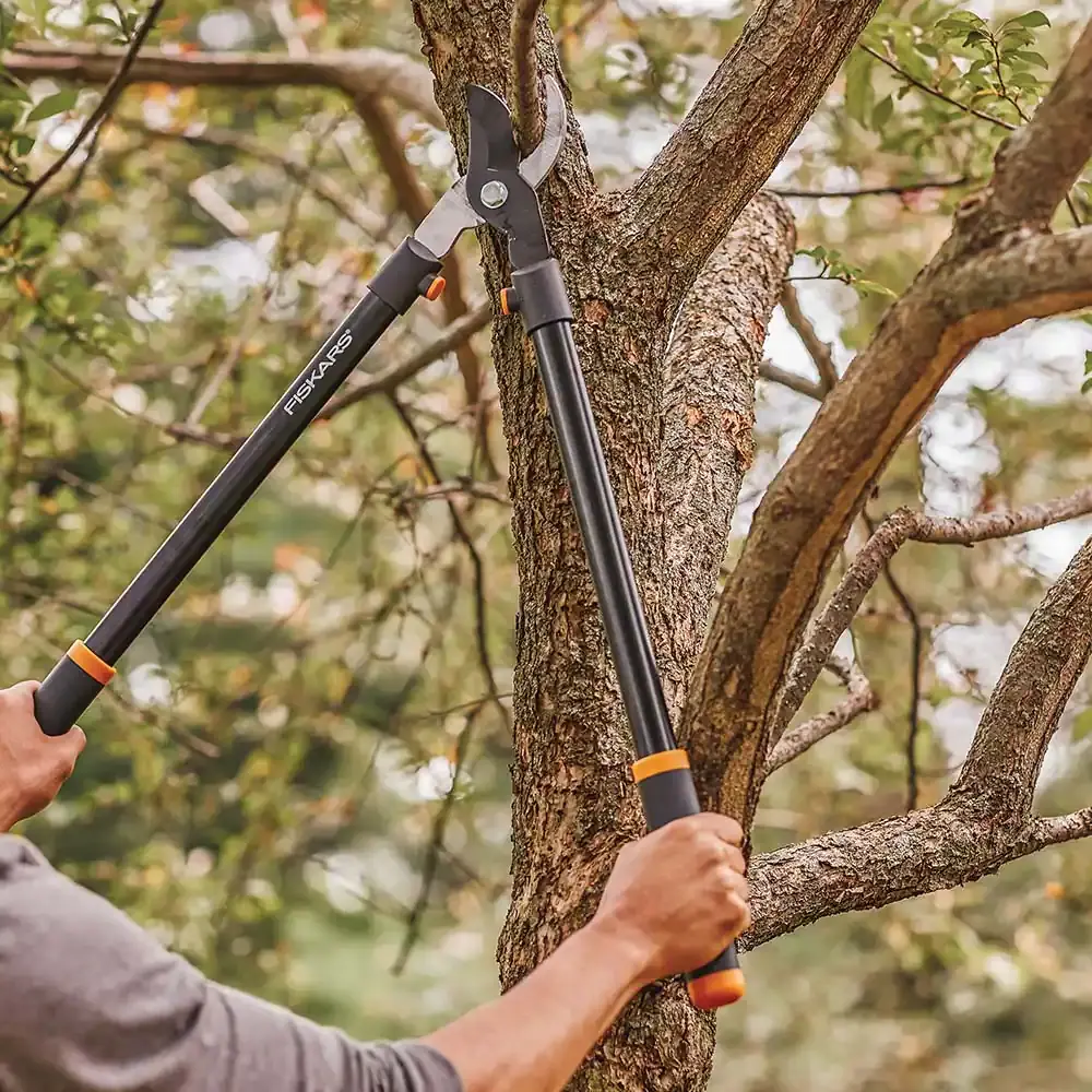 Fiskars Steel Blade Bypass Lopper with Softgrip Steel Handle - Ascmtools