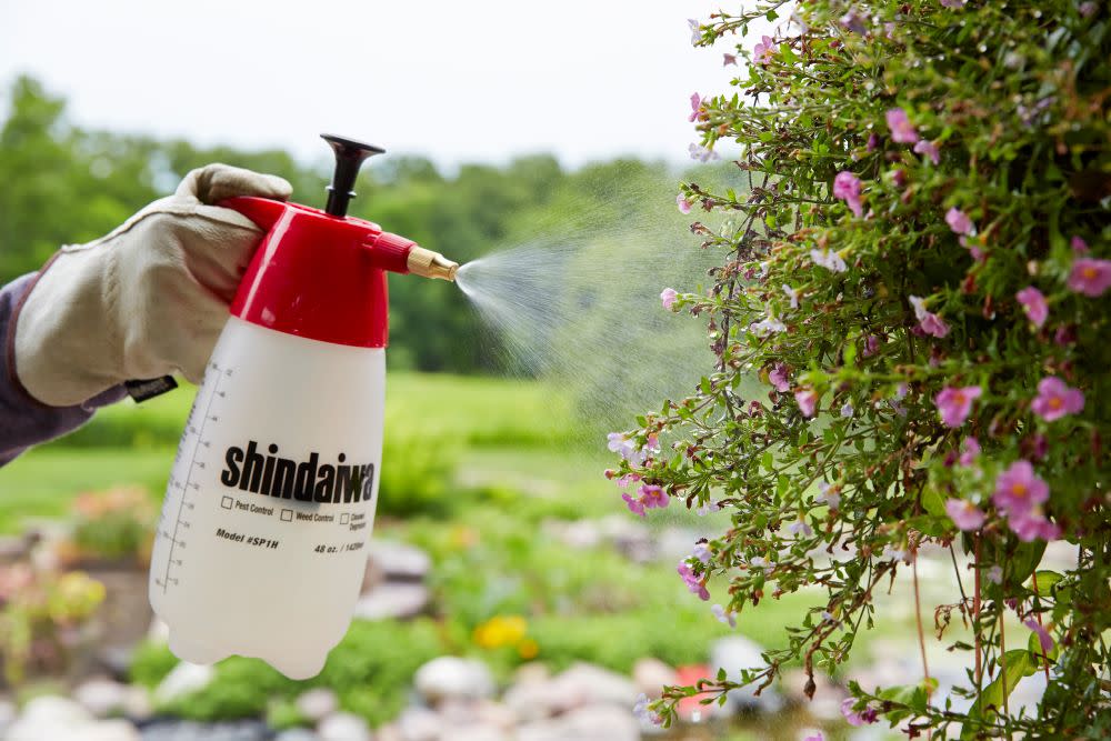 Shindaiwa Handheld Sprayer 48 Fluid Ounce 45 PSI Piston Style - Ascmtools
