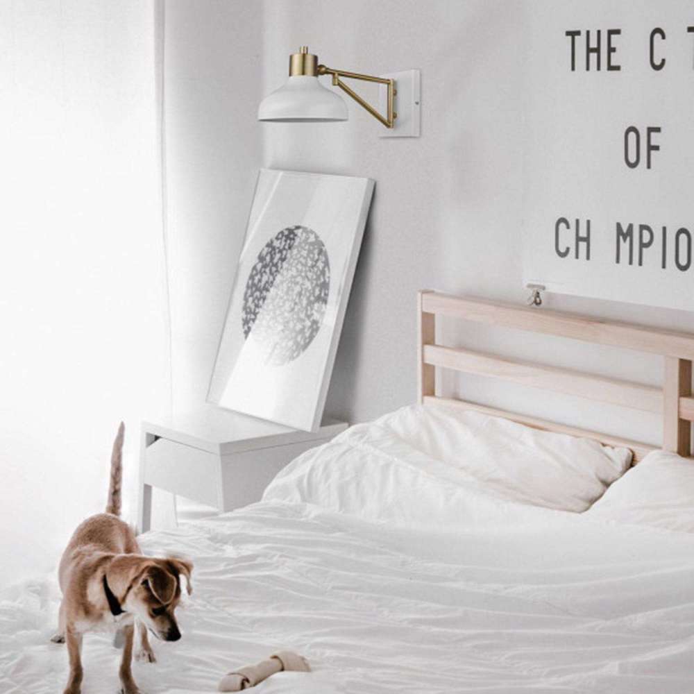 Globe Electric Berkeley Wall Sconce Polished Brass 60W 1 Light - Ascmtools