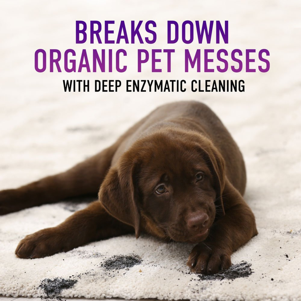 Hoover Residential Vacuum Paws & Claws Carpet Cleaner Solution Deep Cleaning 128oz - Ascmtools