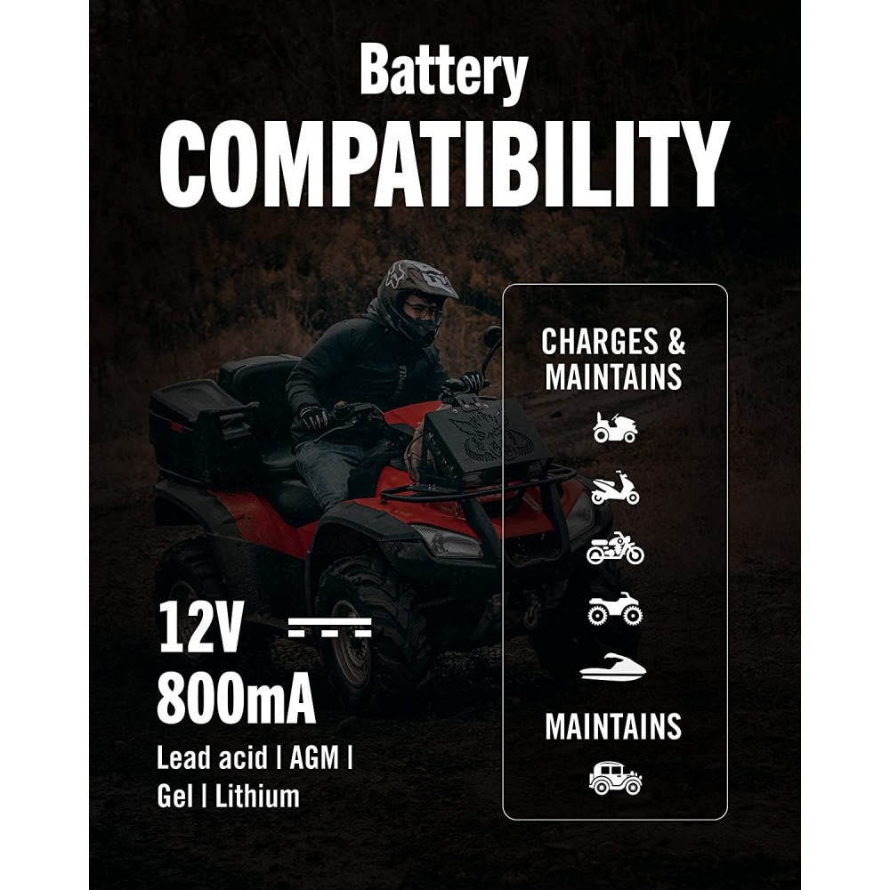 Battery Tender Lead Acid/Lithium Selectable Battery Charger 12V 800mA - Ascmtools