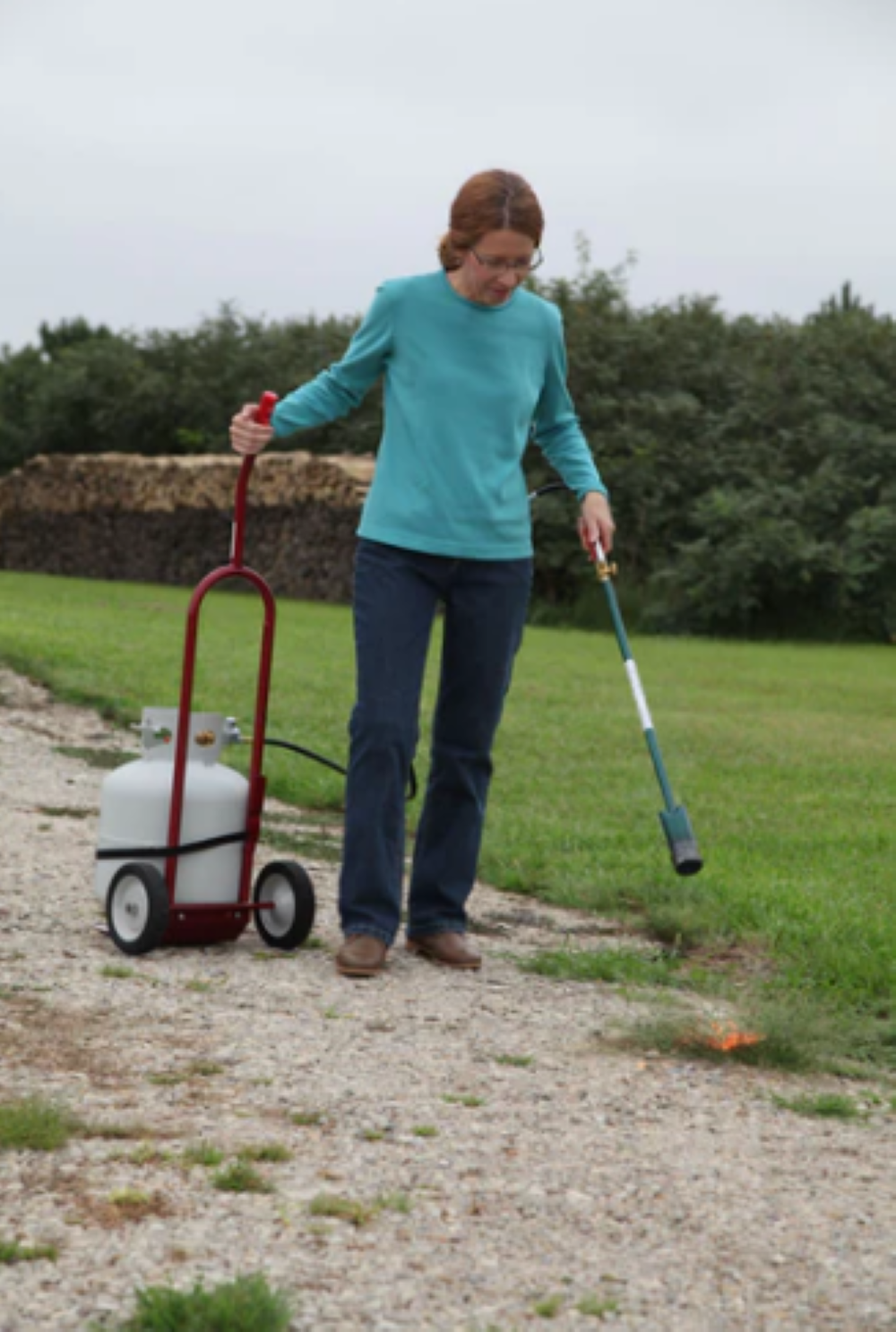 Flame Engineering Universal Cart - Ascmtools