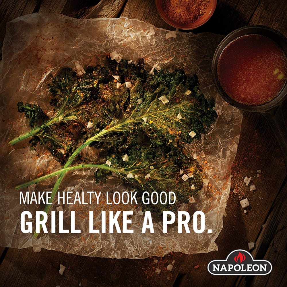 Napoleon Aluminized Steel Charcoal Setter for All Charcoal Grill - Ascmtools