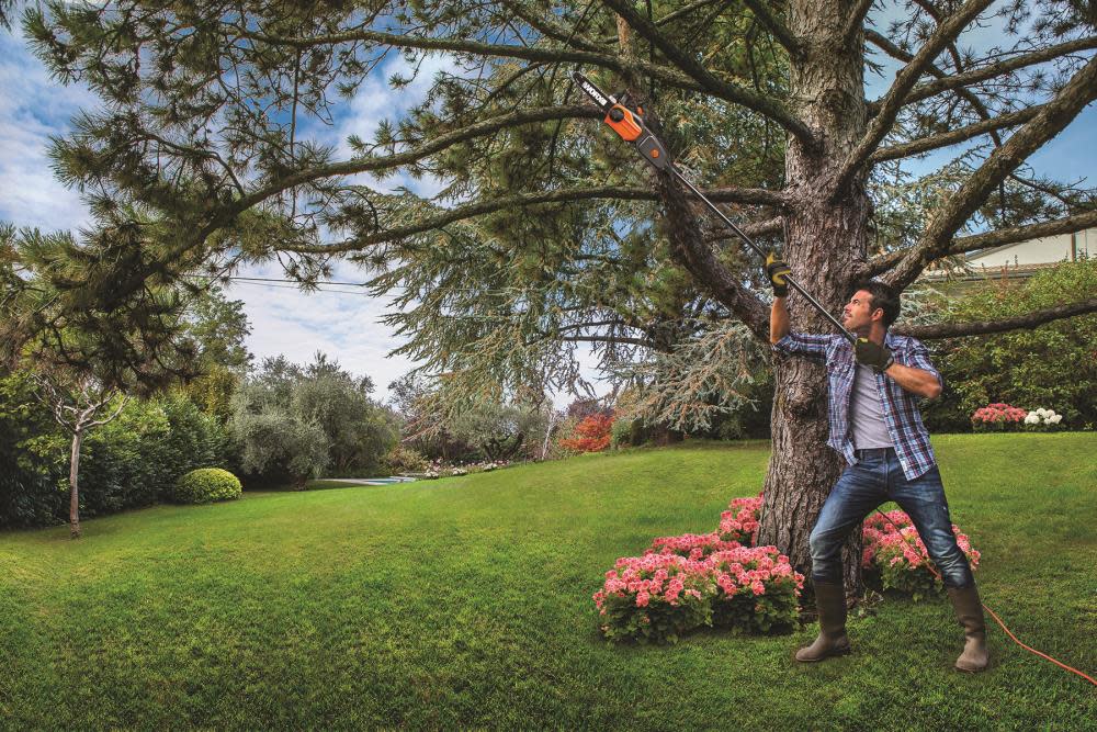 Worx WG309 8A 10″ Electric Pole Saw - Ascmtools