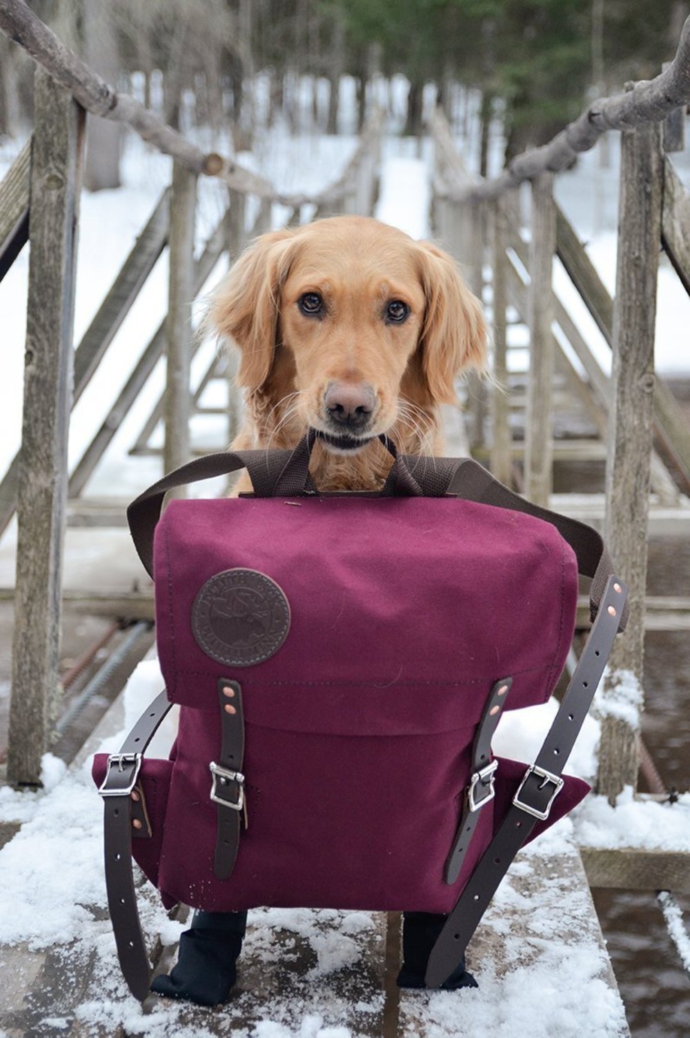 Duluth Pack 16 Liter Capacity Burgundy Scout Pack - Ascmtools