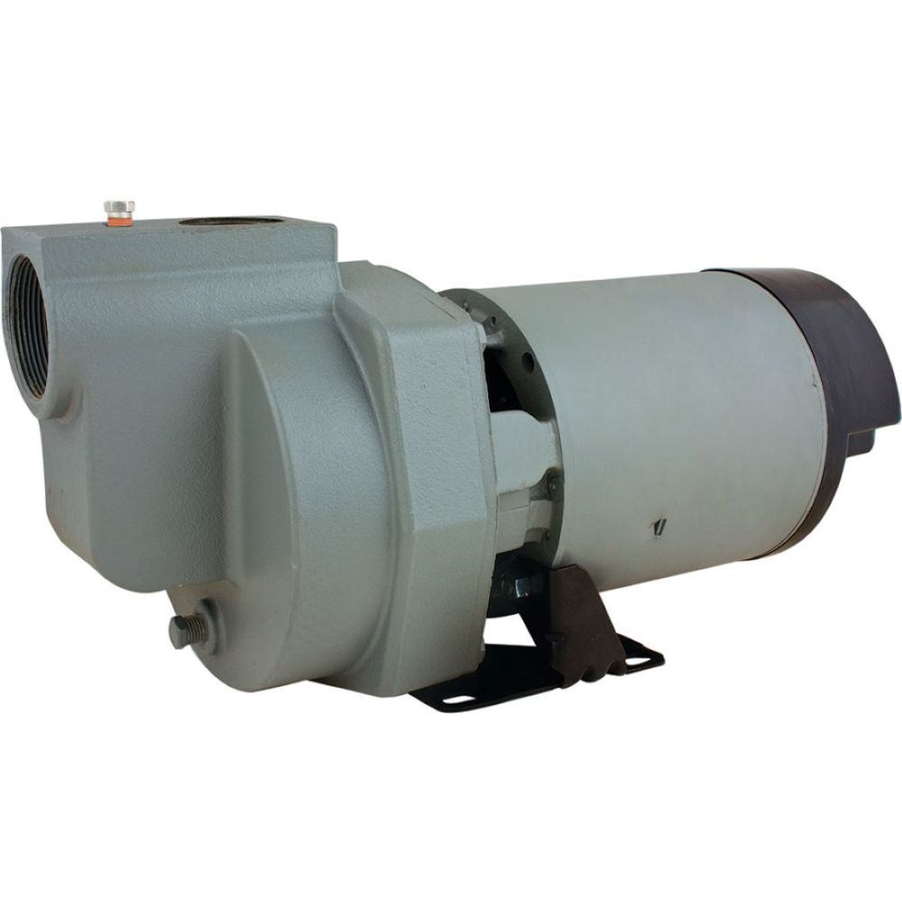 Star Water Systems 1 HP Cast Iron Irrigation/Lawn Pump - Ascmtools