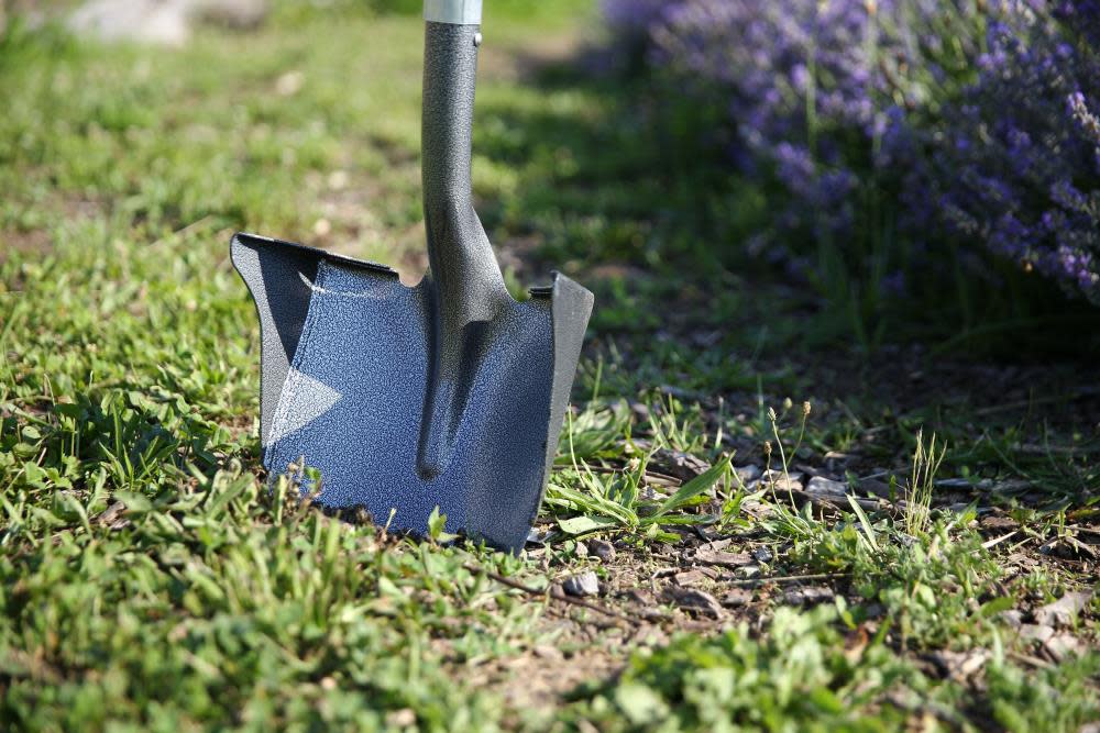 Root Assassin One Shot 60 in Long Handle Shovel - Ascmtools