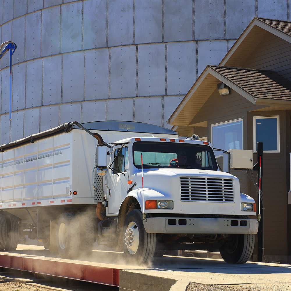 Rodon 36″ Fender Finders - Ascmtools