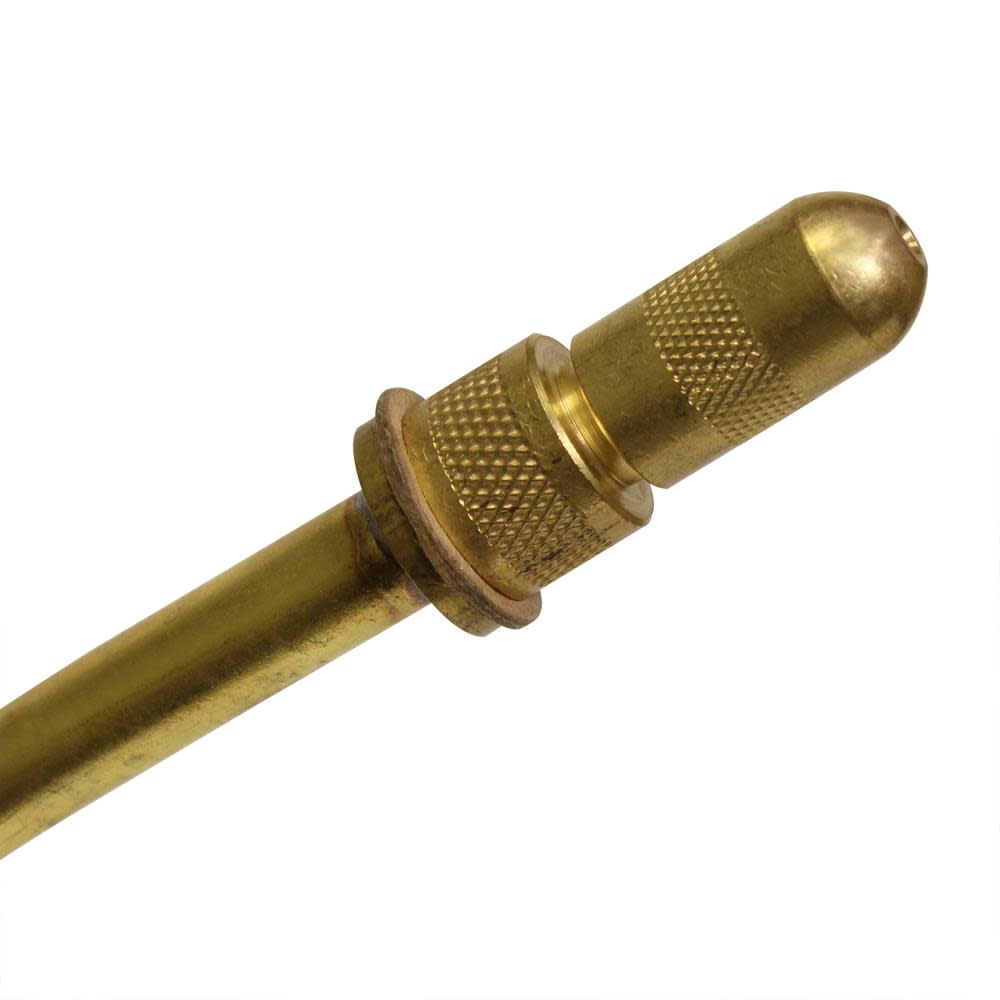 Chapin Mfg 1253 2 Gallon Premier Stainless Steel Sprayer - Ascmtools