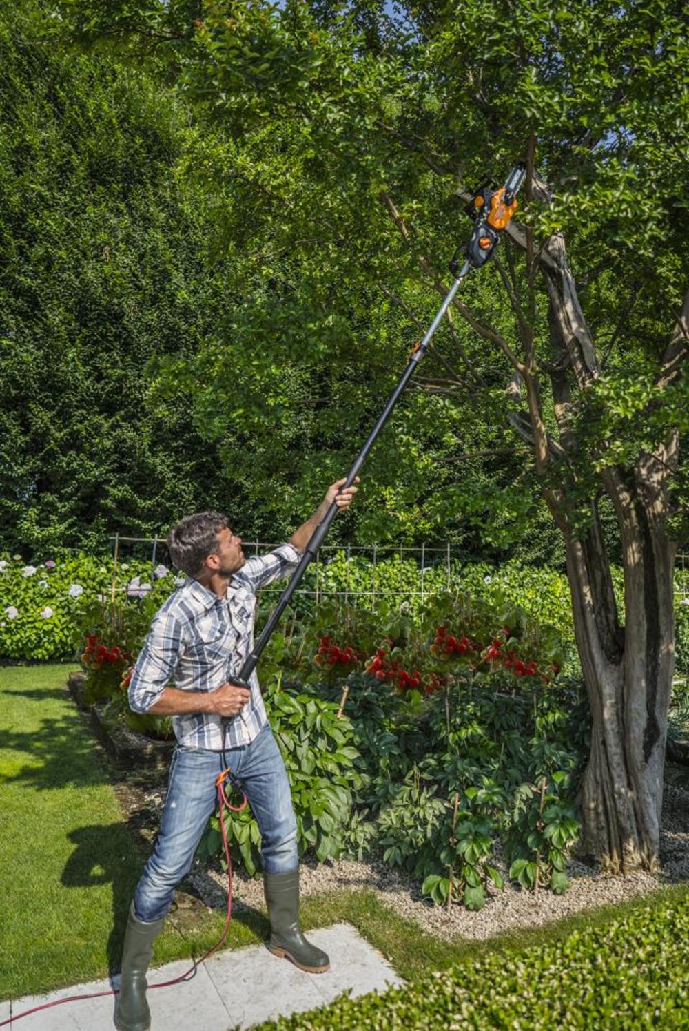 Worx WG309 8A 10″ Electric Pole Saw - Ascmtools