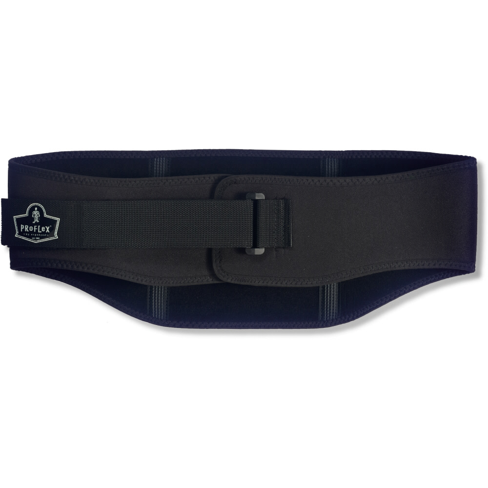 Ergodyne Proflex 1500 Back Support – Large - Ascmtools