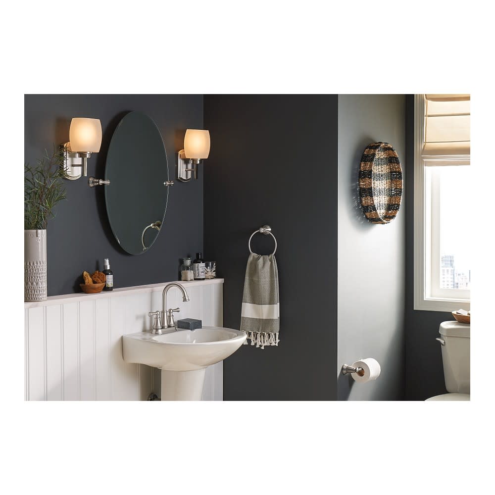 Moen Banbury Toilet Paper Holder Brushed Nickel Pivoting - Ascmtools