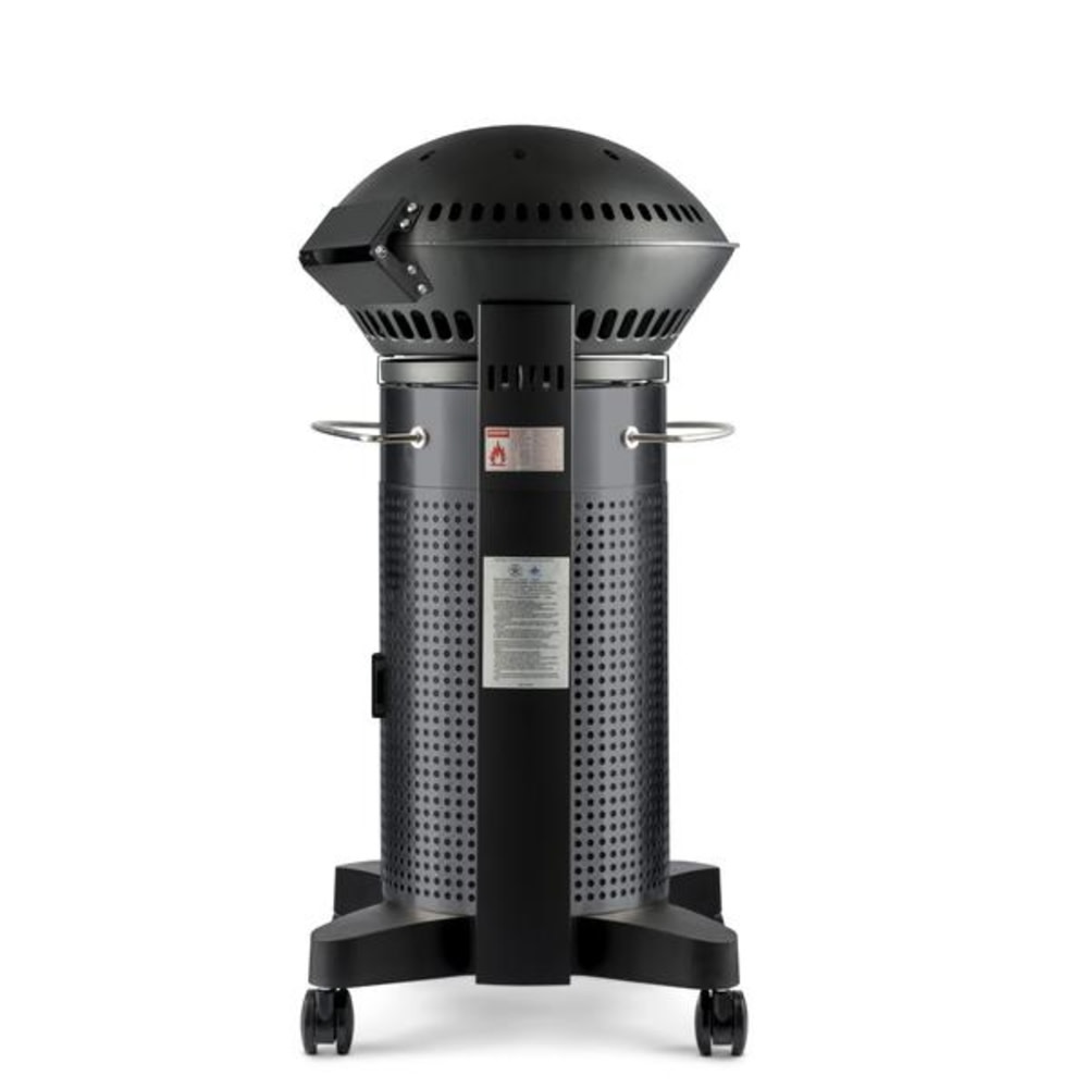 Fuego 21″ Element 2 Burner Propane Gas Grill - Ascmtools