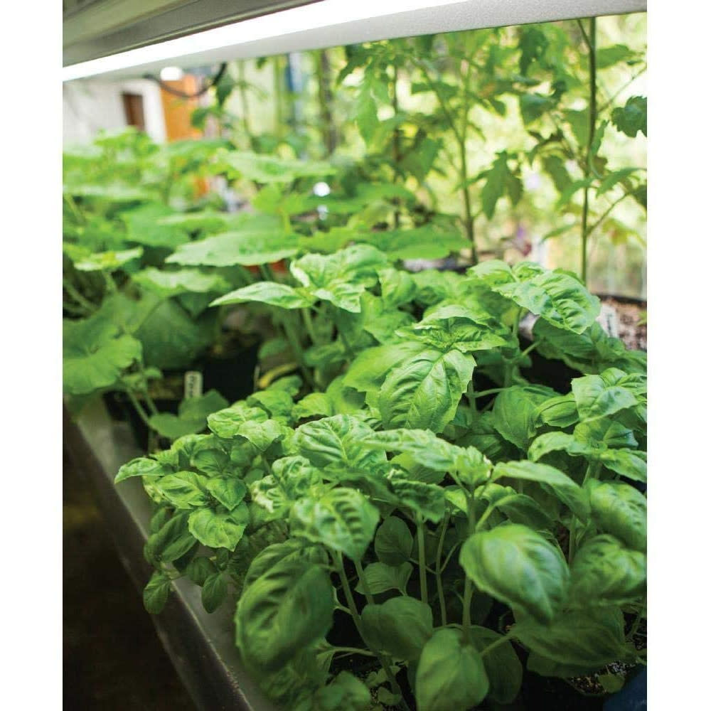 Feit Electric 65W BR30 LED Plant Grow Light Bulb 1pk - Ascmtools