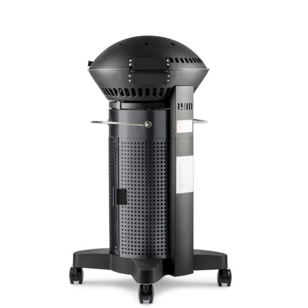 Fuego 21″ Element 2 Burner Propane Gas Grill - Ascmtools