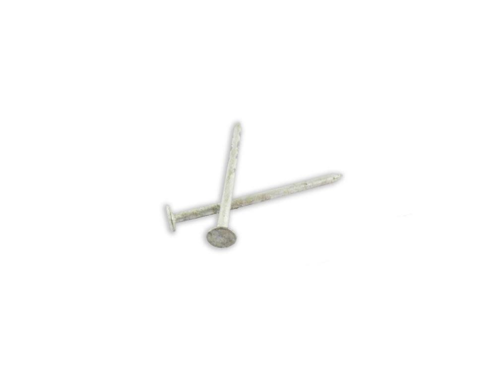 Woodpro Hot Dip Galvanized Box Nails 16d 5LB - Ascmtools