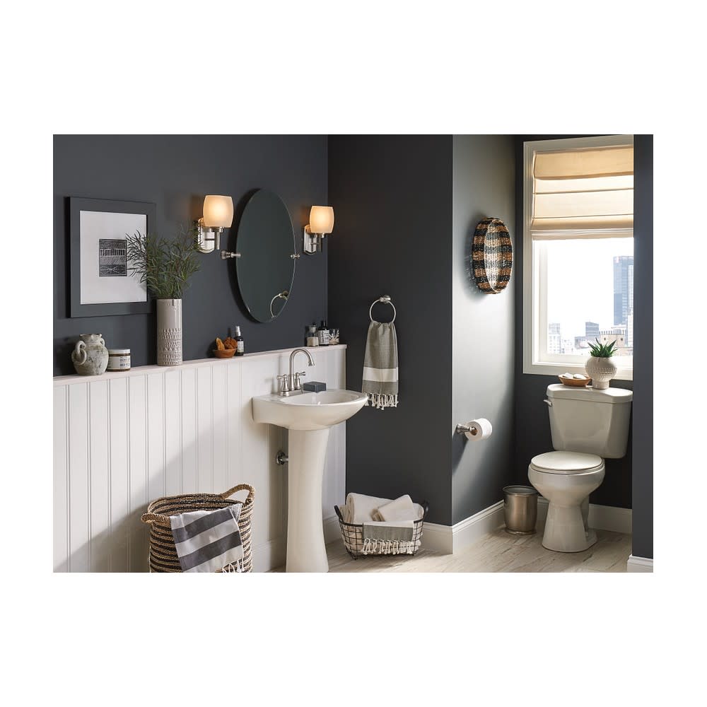 Moen Banbury Toilet Paper Holder Brushed Nickel Pivoting - Ascmtools