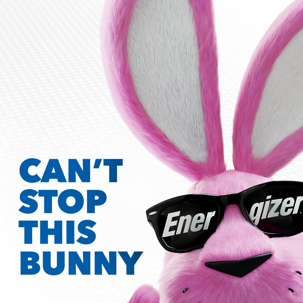 Energizer EVER2PK AA Lita Battery - Ascmtools