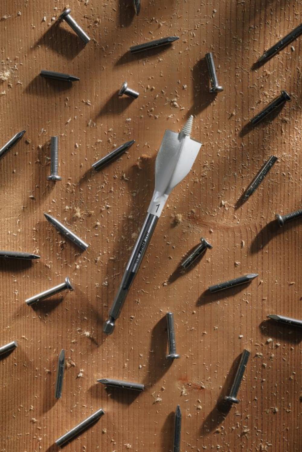 Bosch 6 pc. Nail Strike Wood-Boring Bit Set - Ascmtools